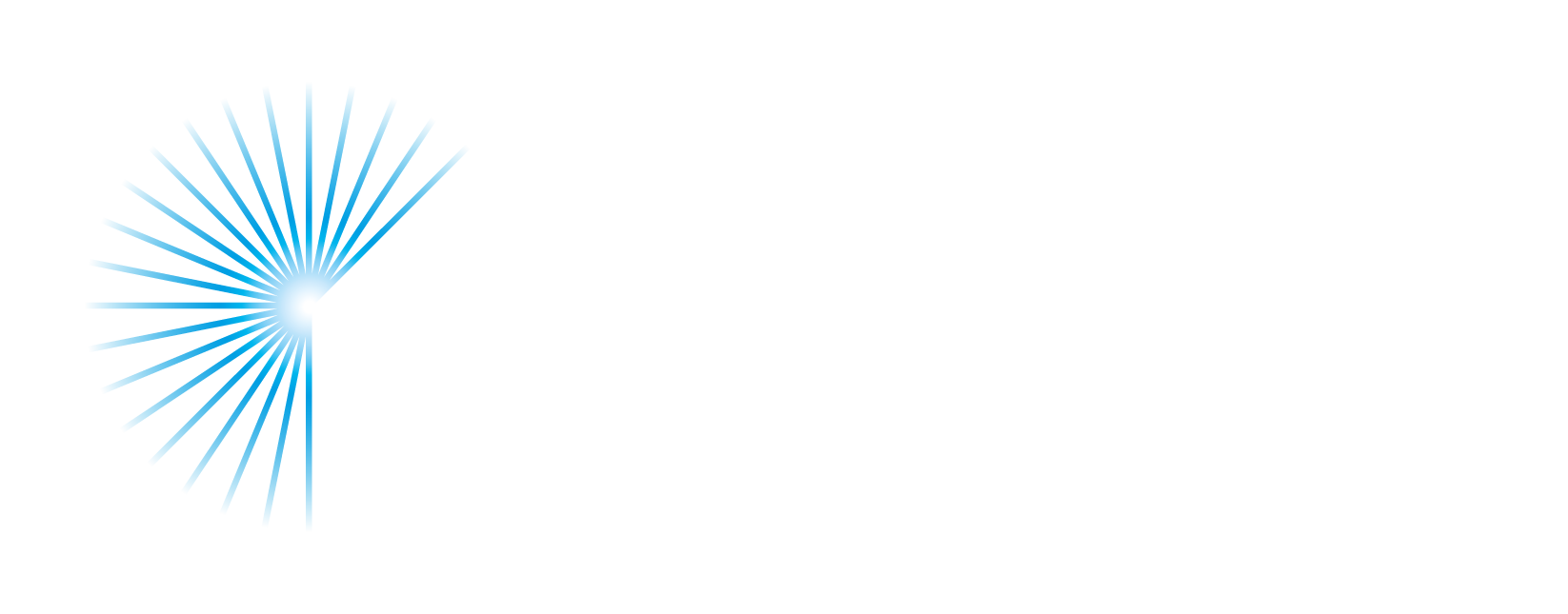 Dublin Winter Lights Logo