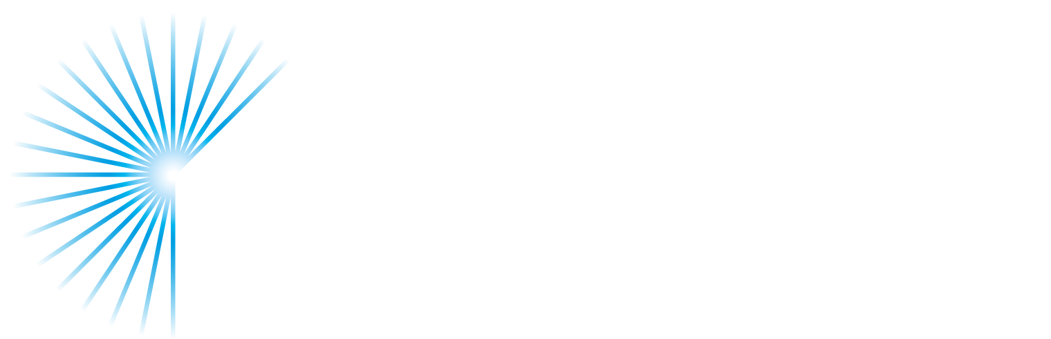 Dublin Winter Lights Logo