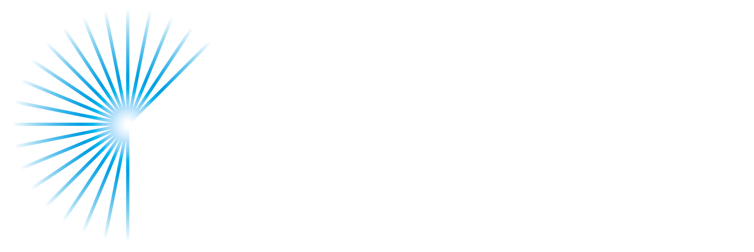 Dublin City Winter Lights Logo